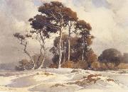 Pines and Sand Dunes (mk42) Percy Gray